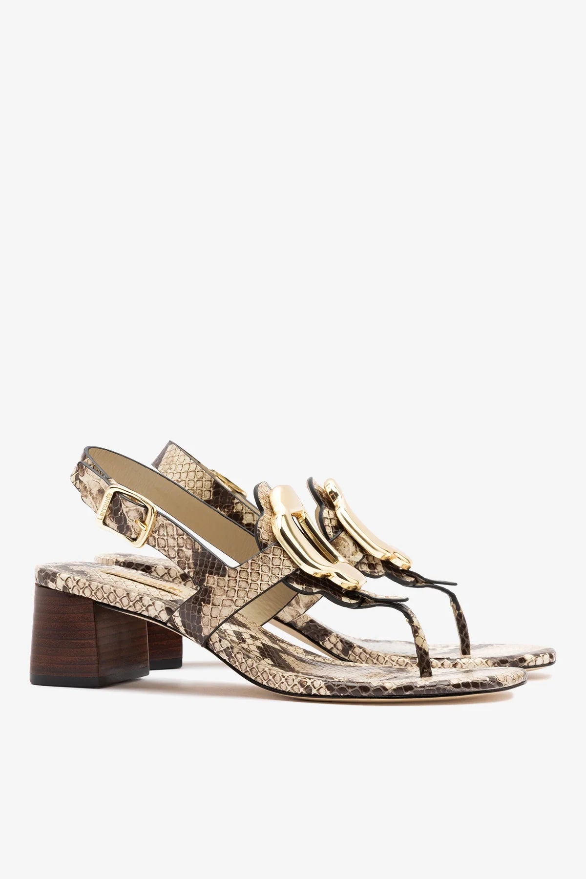 Margherita Block Thong Sandal Snake Leather