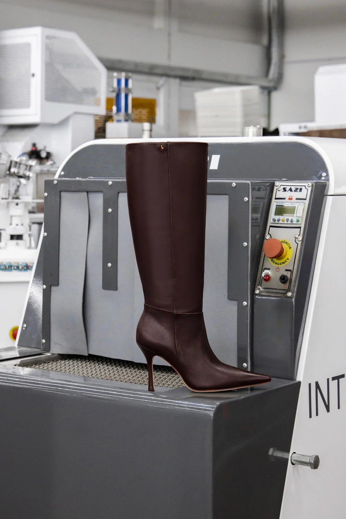 Carine Boot In Brown Leather